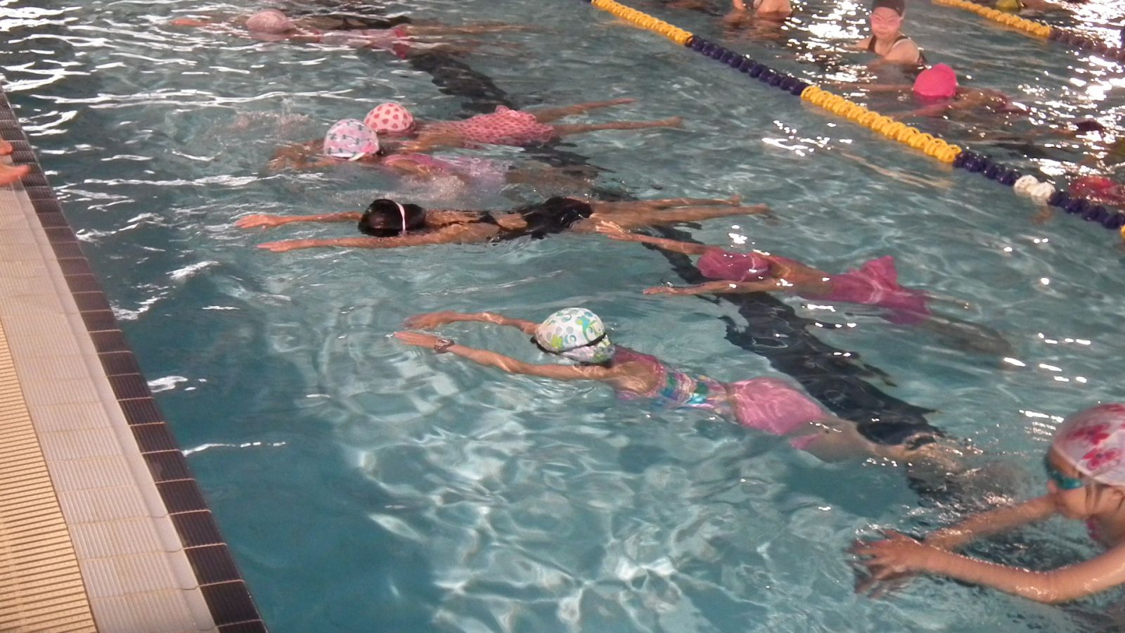 中高年級體育課游泳教學