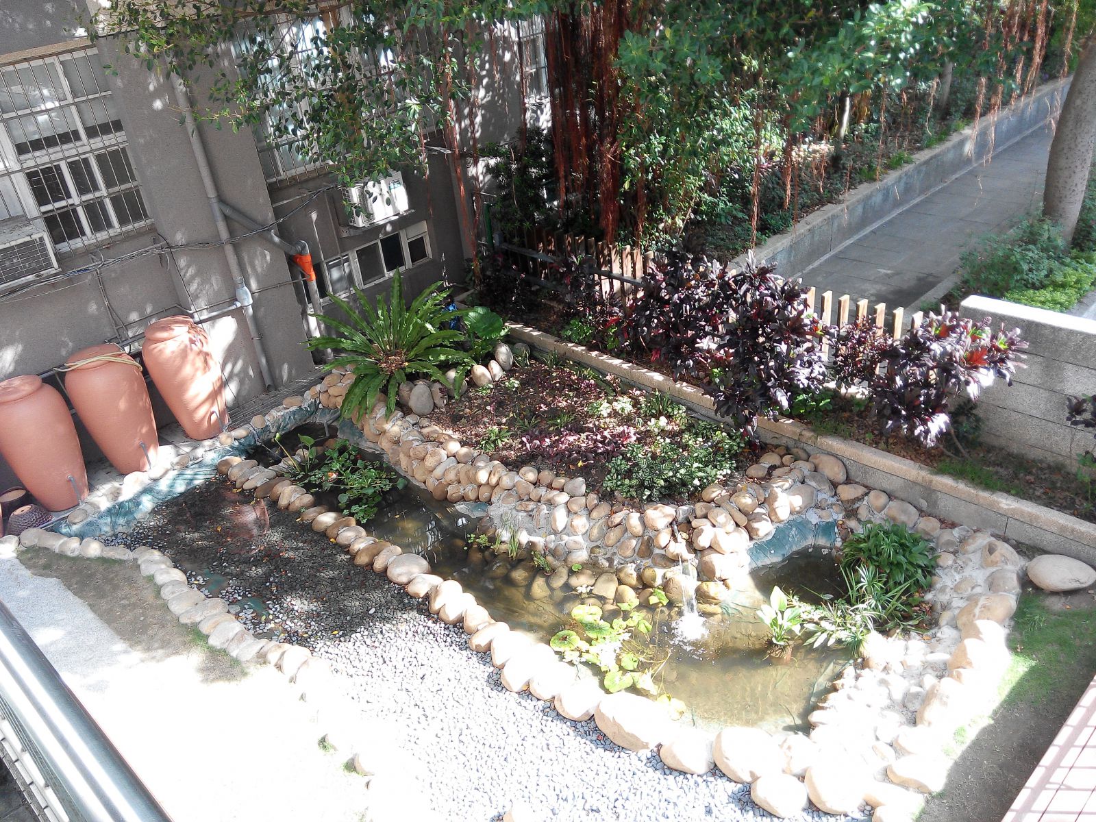 雨水回收生態池