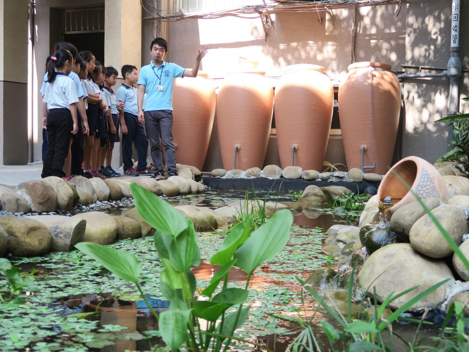 建置雨水回收的生態池，融入學科教學